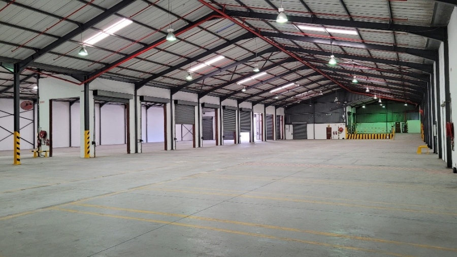 To Let commercial Property for Rent in Airport Industria Western Cape